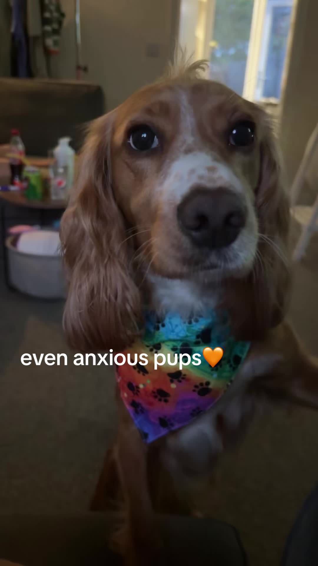 @tiegspam???