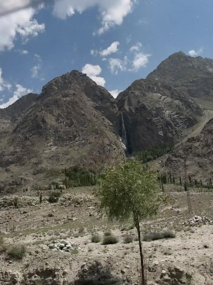 @saharhashmiofficial16