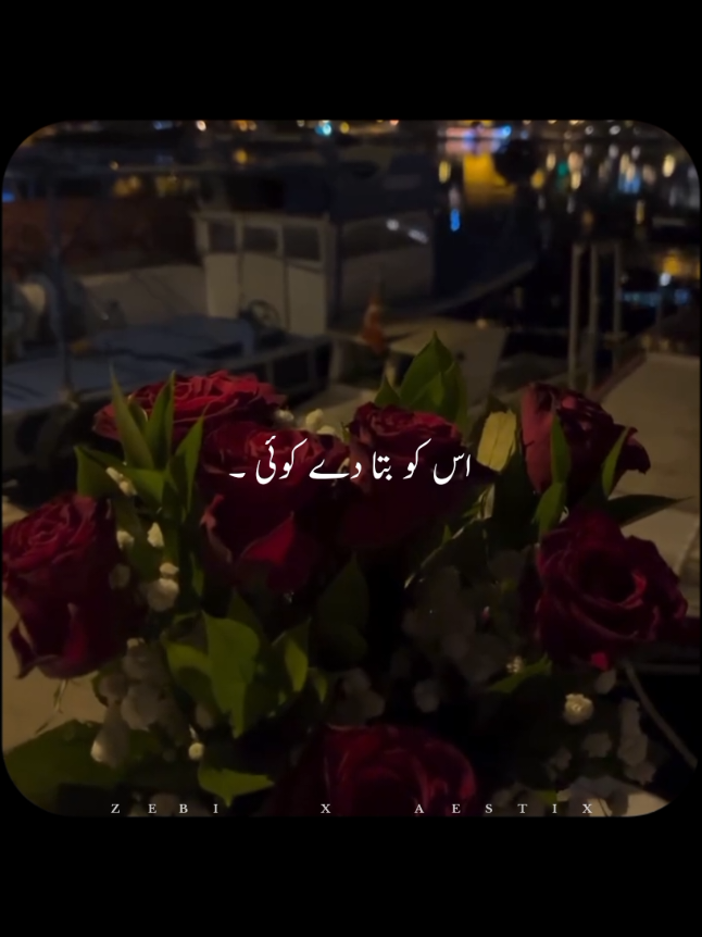 @𝙕𝙀𝘽𝙄 𝙓 𝘼𝙀𝙎𝙏𝙄𝙓