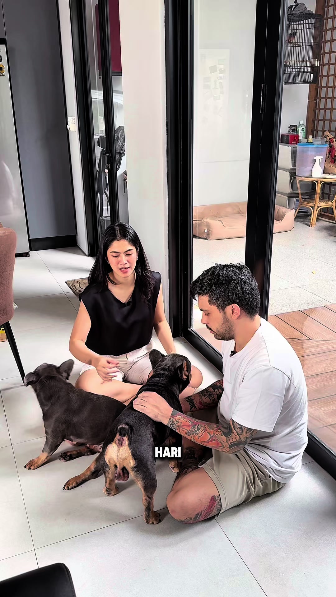 @hanahaho
