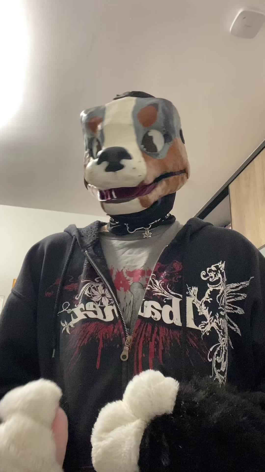 @⋆˚࿔ ☘️ 𝐓𝐫𝐞𝐟𝐥𝐞 🐾˚⋆