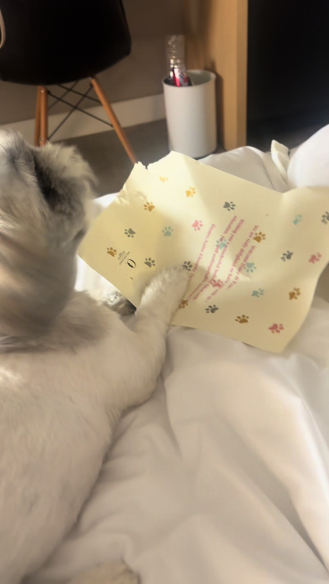 @Daisy | The Dog Travel App