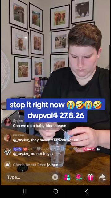 @DWPVol4