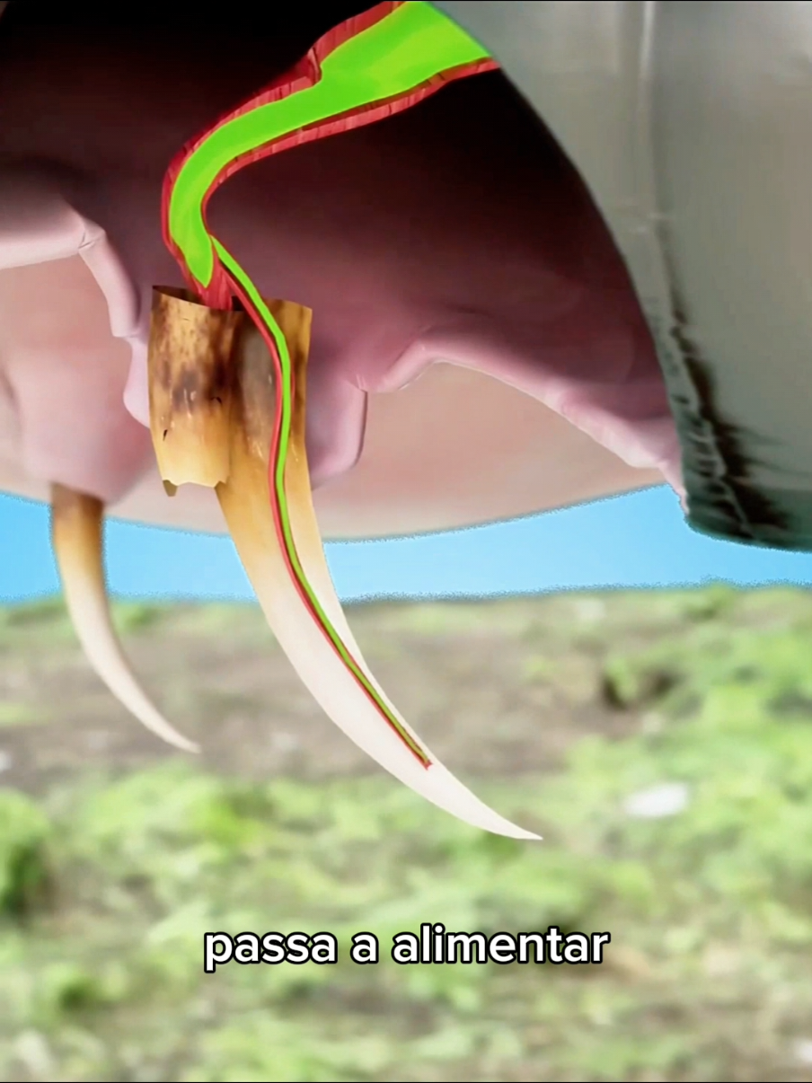 @Curiosity