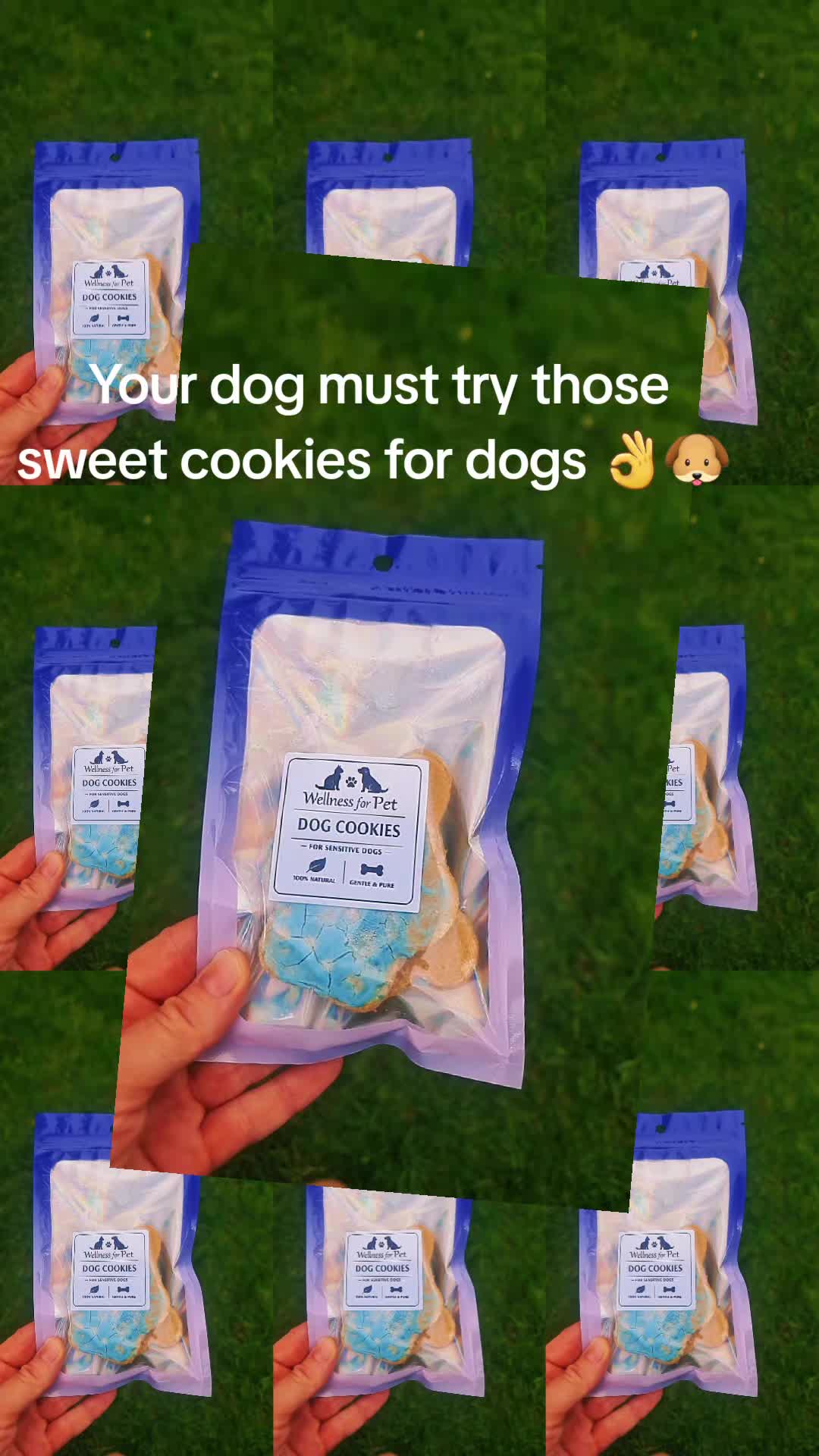 @Wellness for Pet