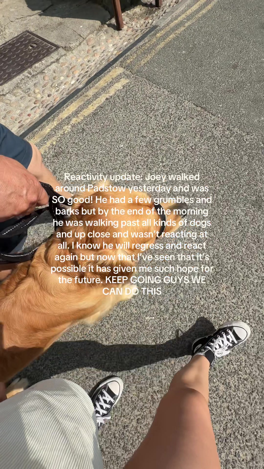 @Joey The Golden