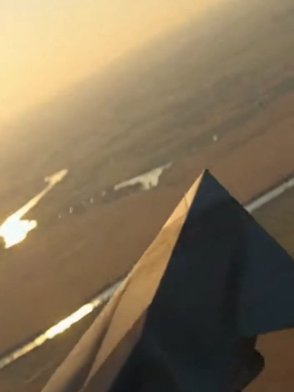@Awakeningtiger Ébredőtigris