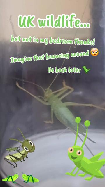 @Funki Fi โค๏ธ๐ฅ๐ฅGen X๐ฅโค๏ธ๐ฅ