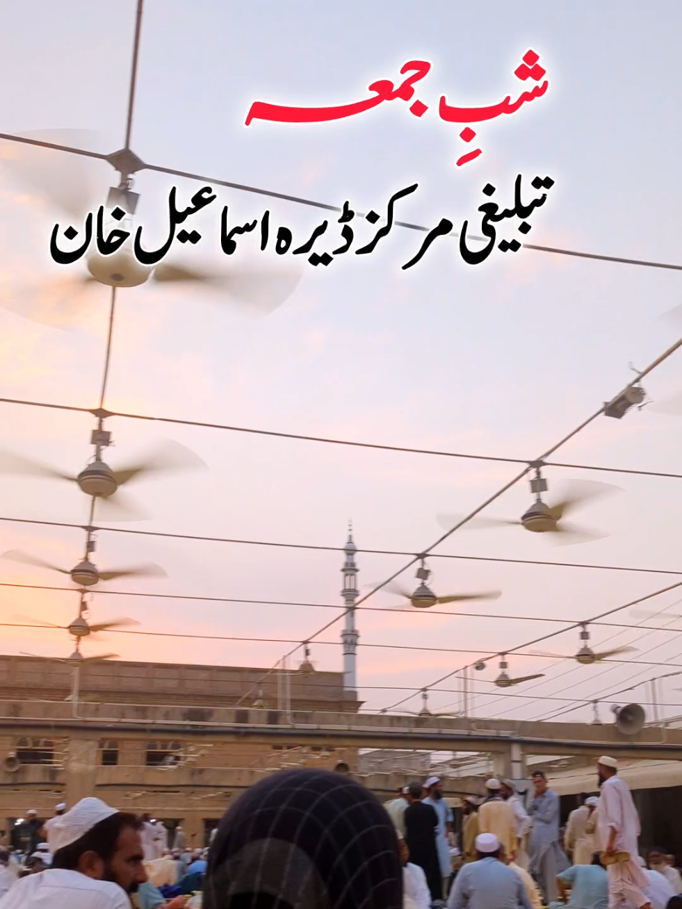 @Salman Ummati®