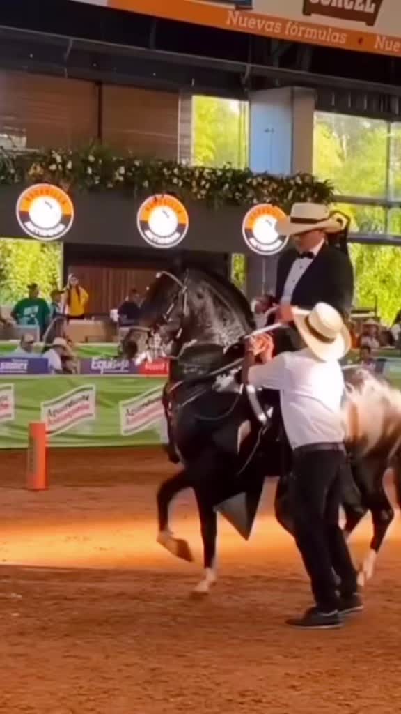 @Caballostrochadores