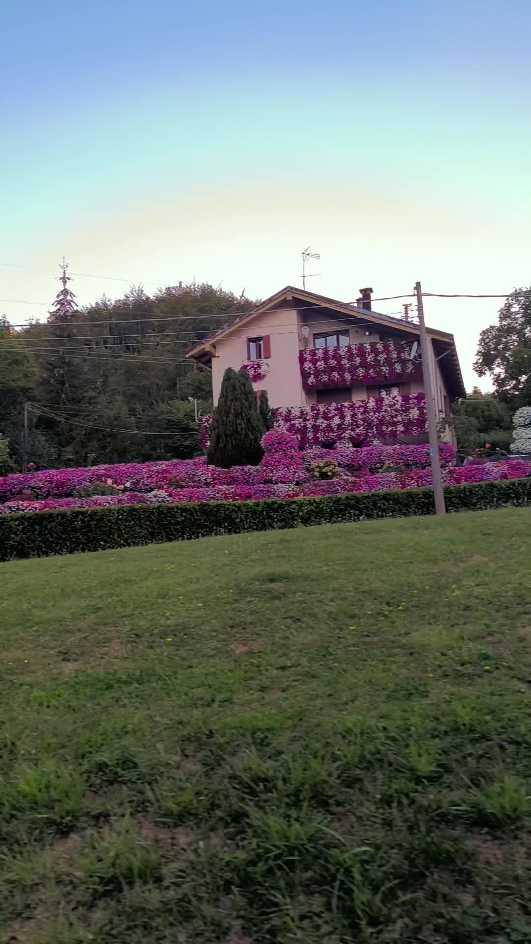 @Elena Vulpe Pilipenc