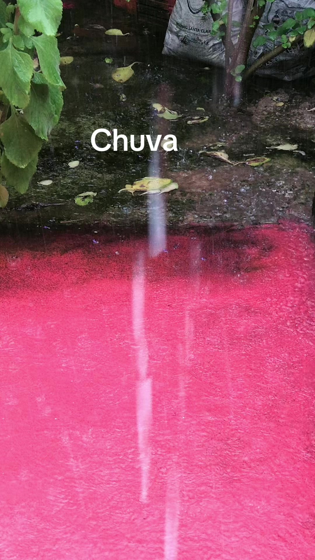 @Boiadeiro