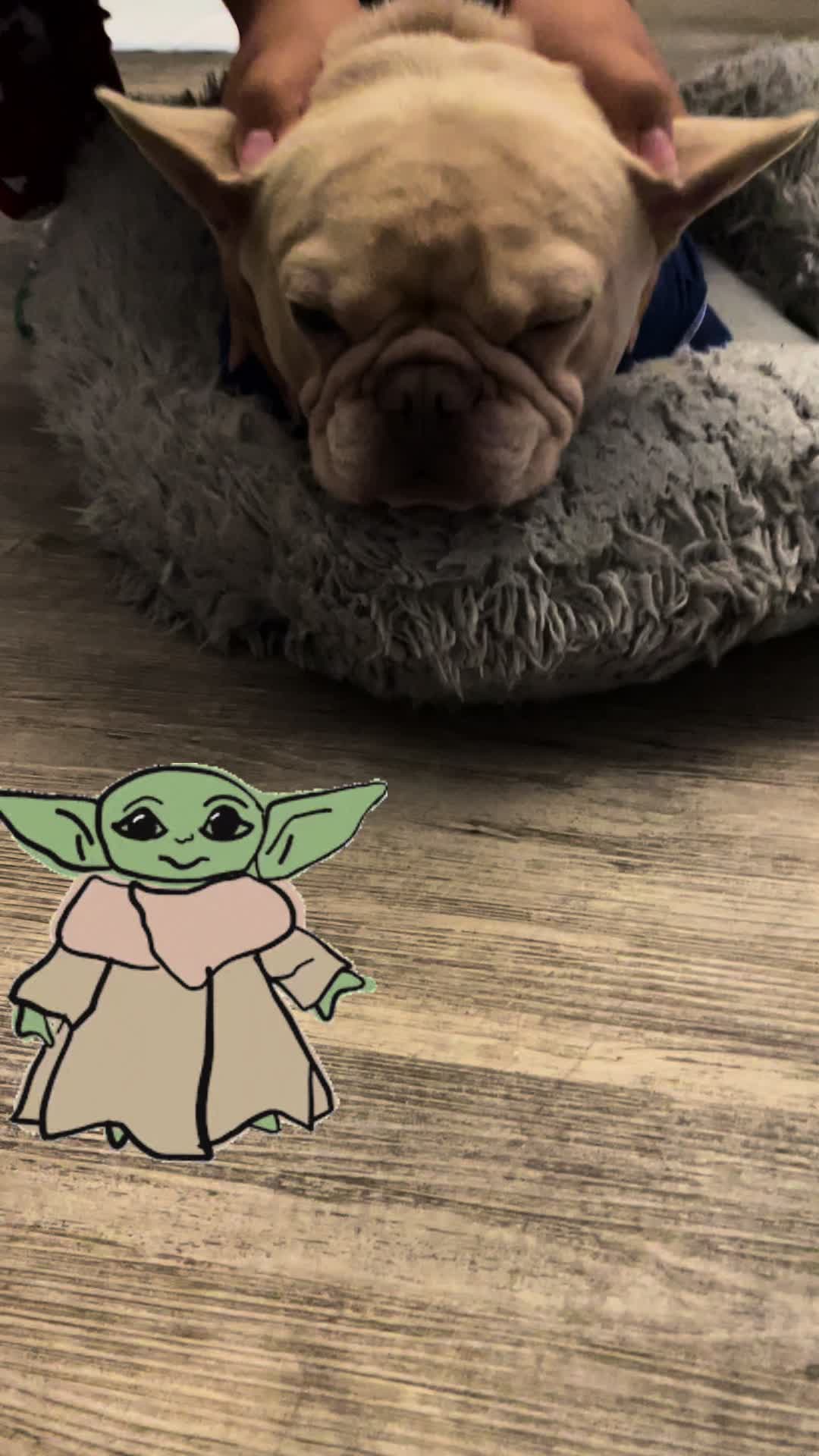 @nalathebulldog20