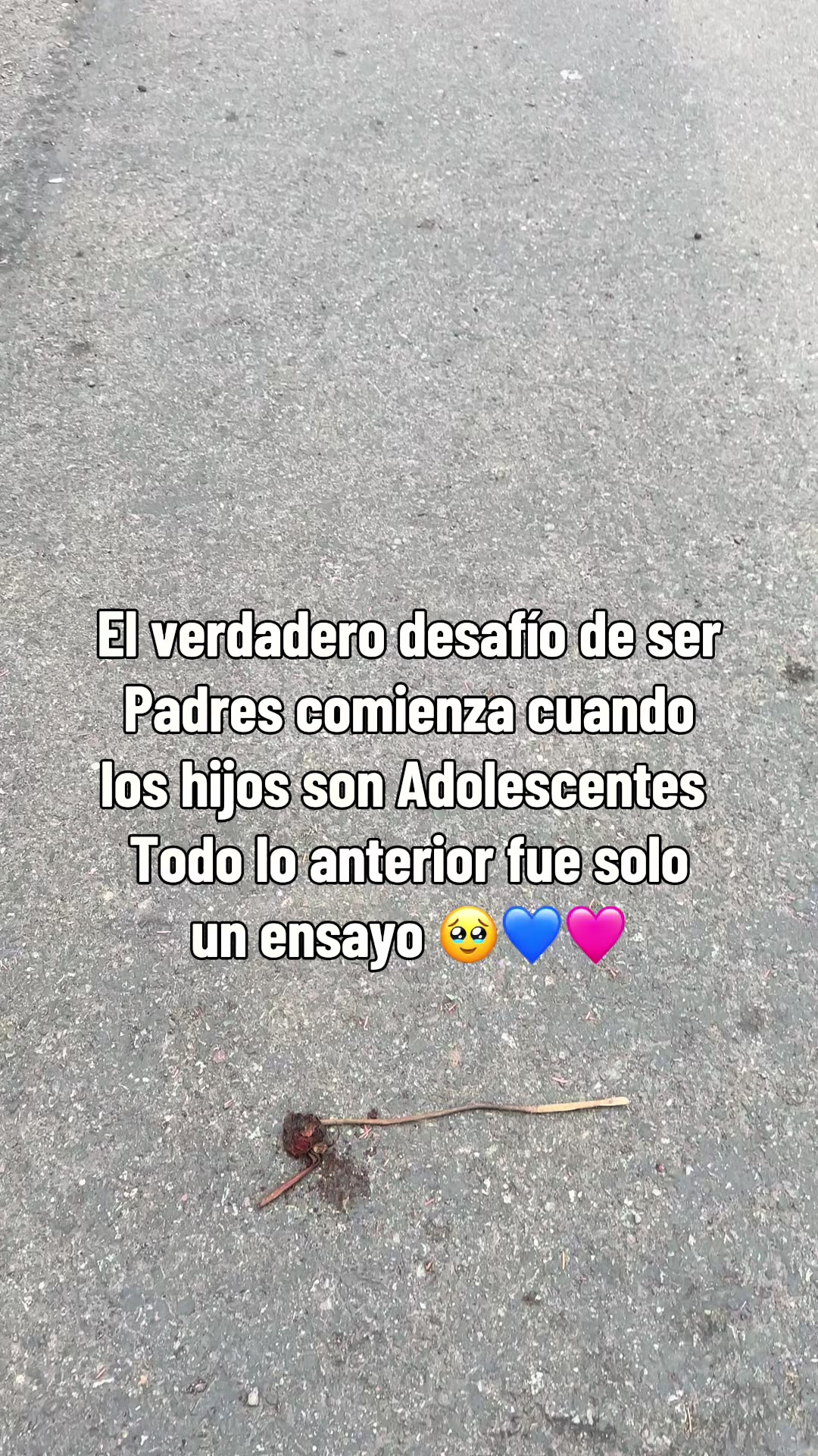 @Abril Robles