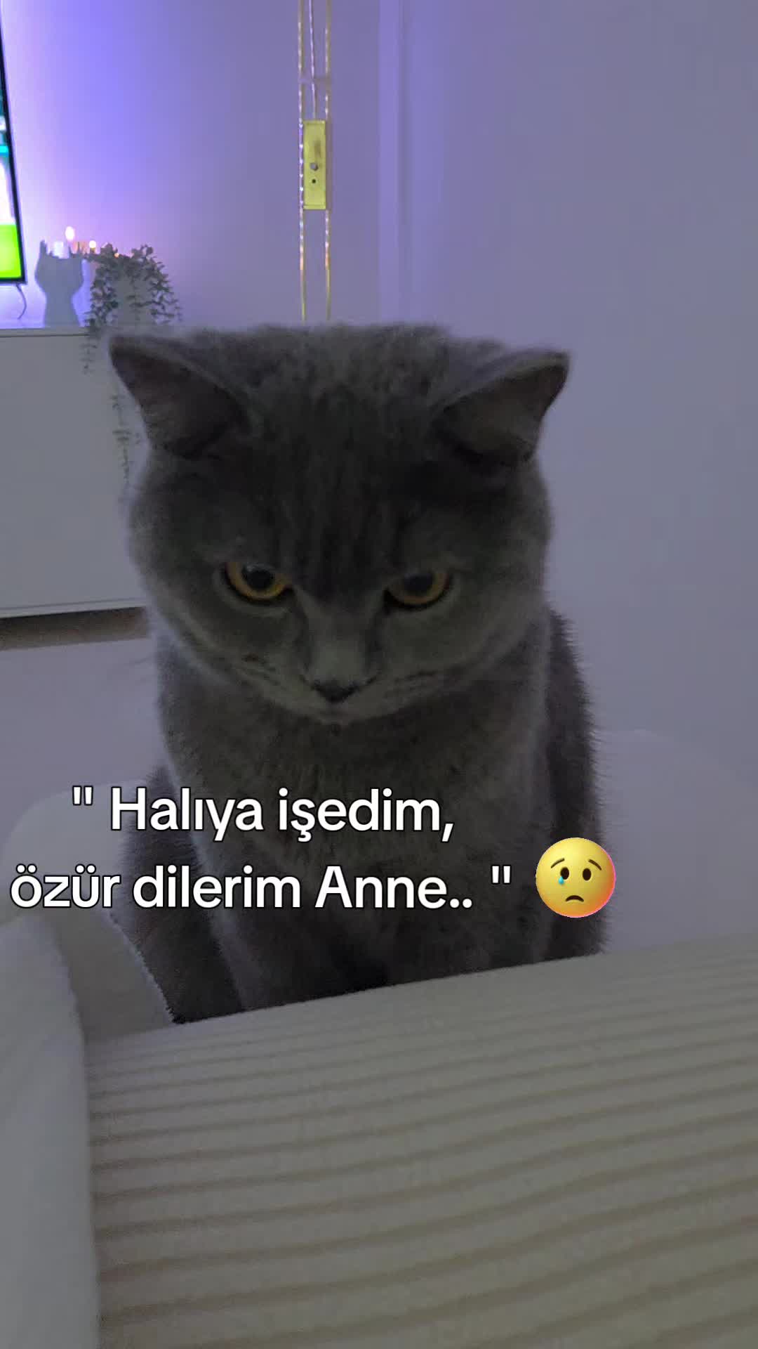 @1Anne ❤️ 1Lokum ❤️