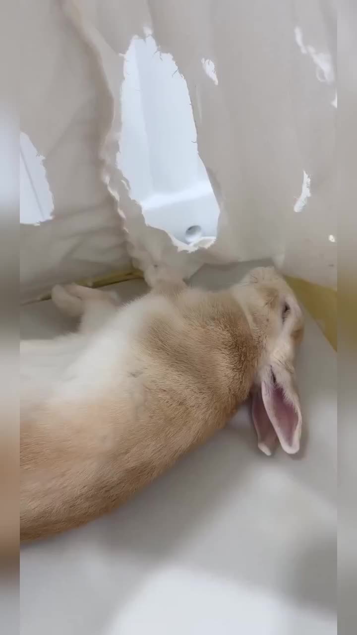 @WONDOO
