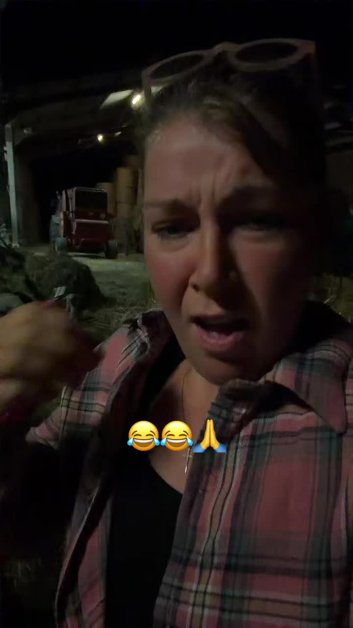 @ᏦᎥᎥᏦᏗᏗ 🌾🚜🐮