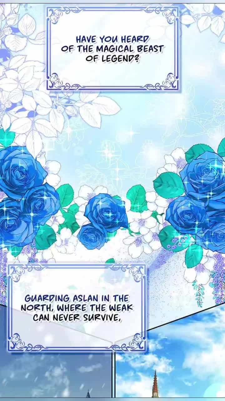@☆ 秦丁☆