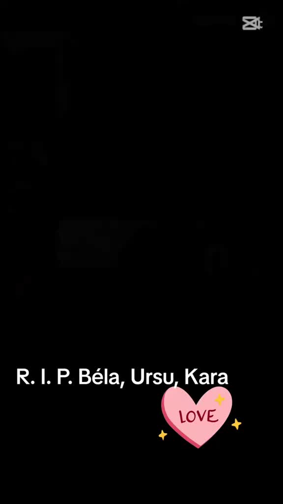 @Balasz Anamaria