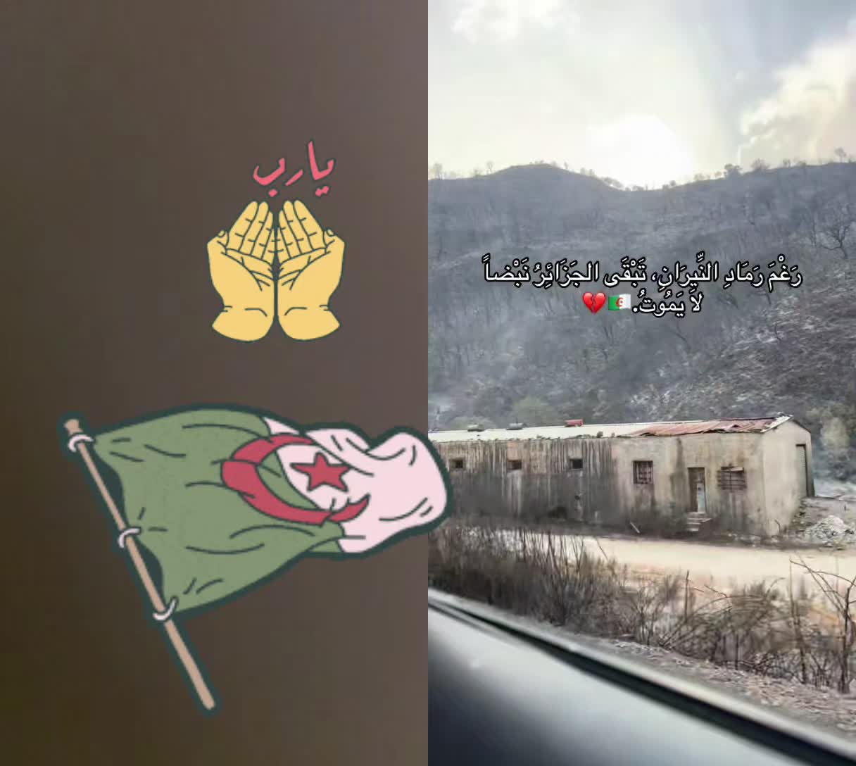 @♤♡ المسافرة ♡♤