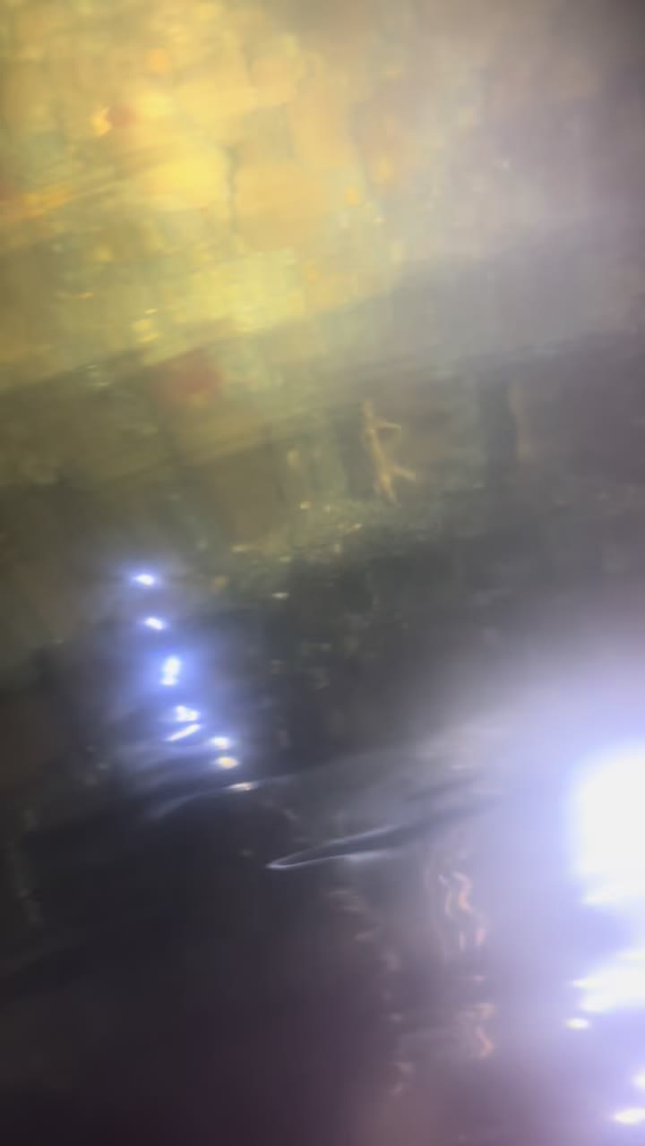 @Poko