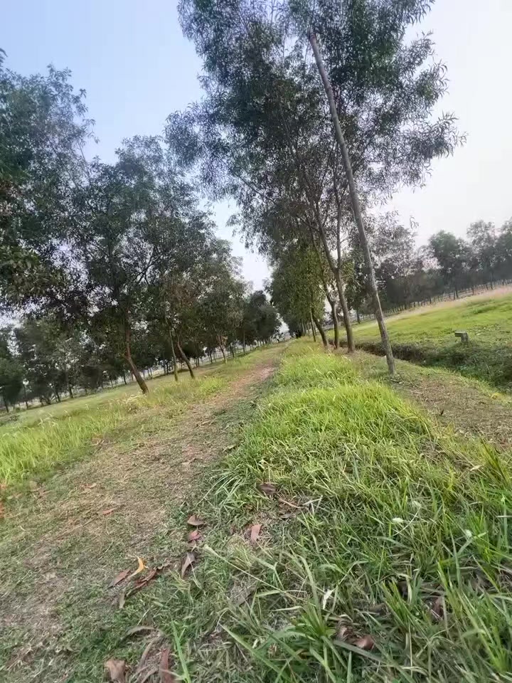 @RIFAT_✌️