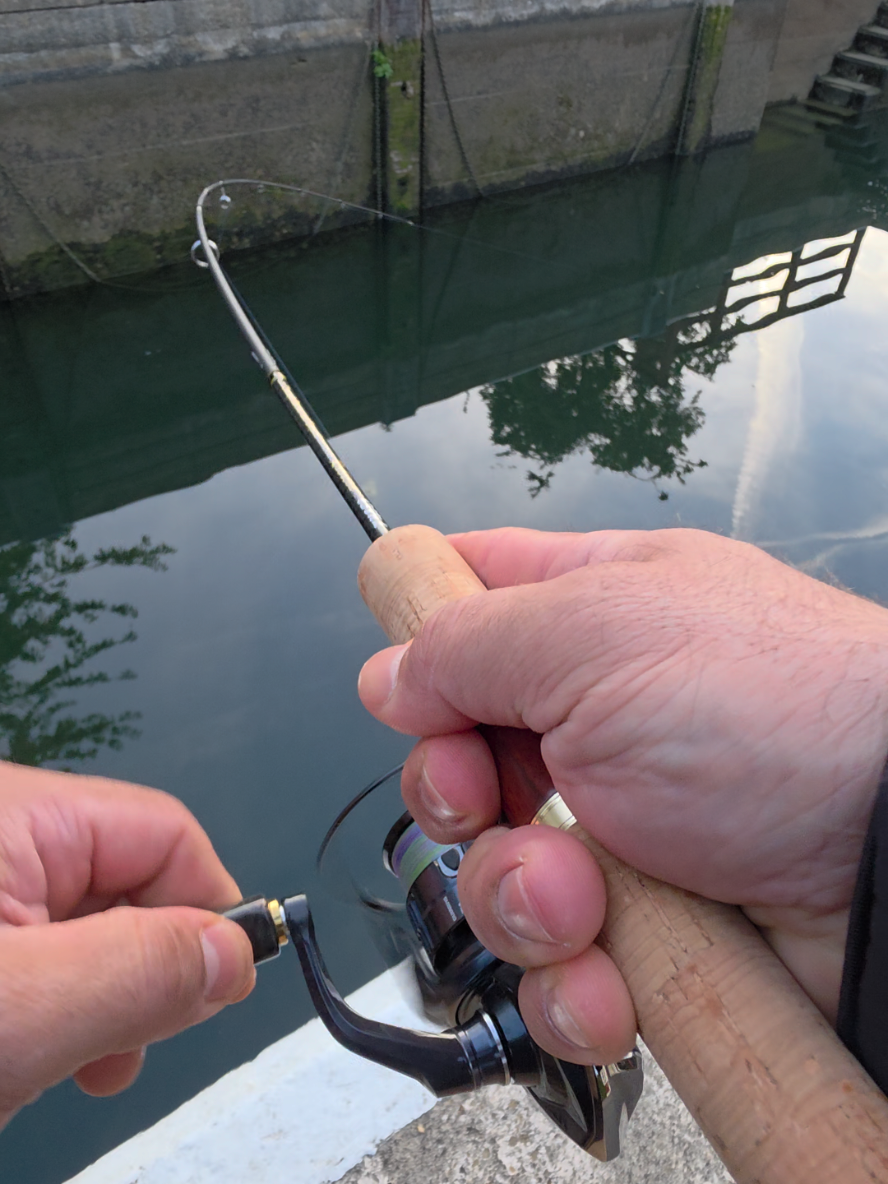 @BF Angler