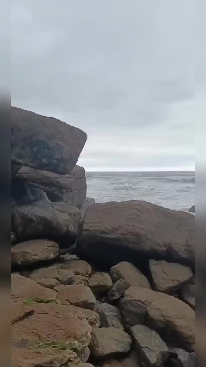 @🦁@ Tá sabendo Itanhaém? 🦁