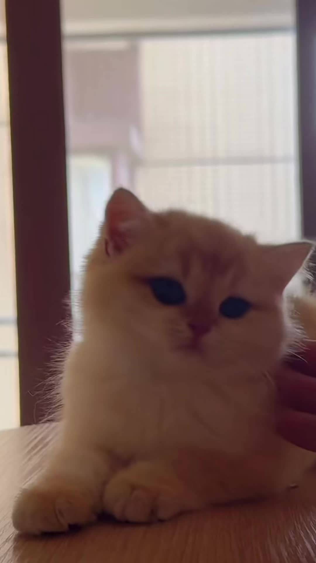 @My Daily Dose of Aww