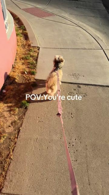 @MsBee