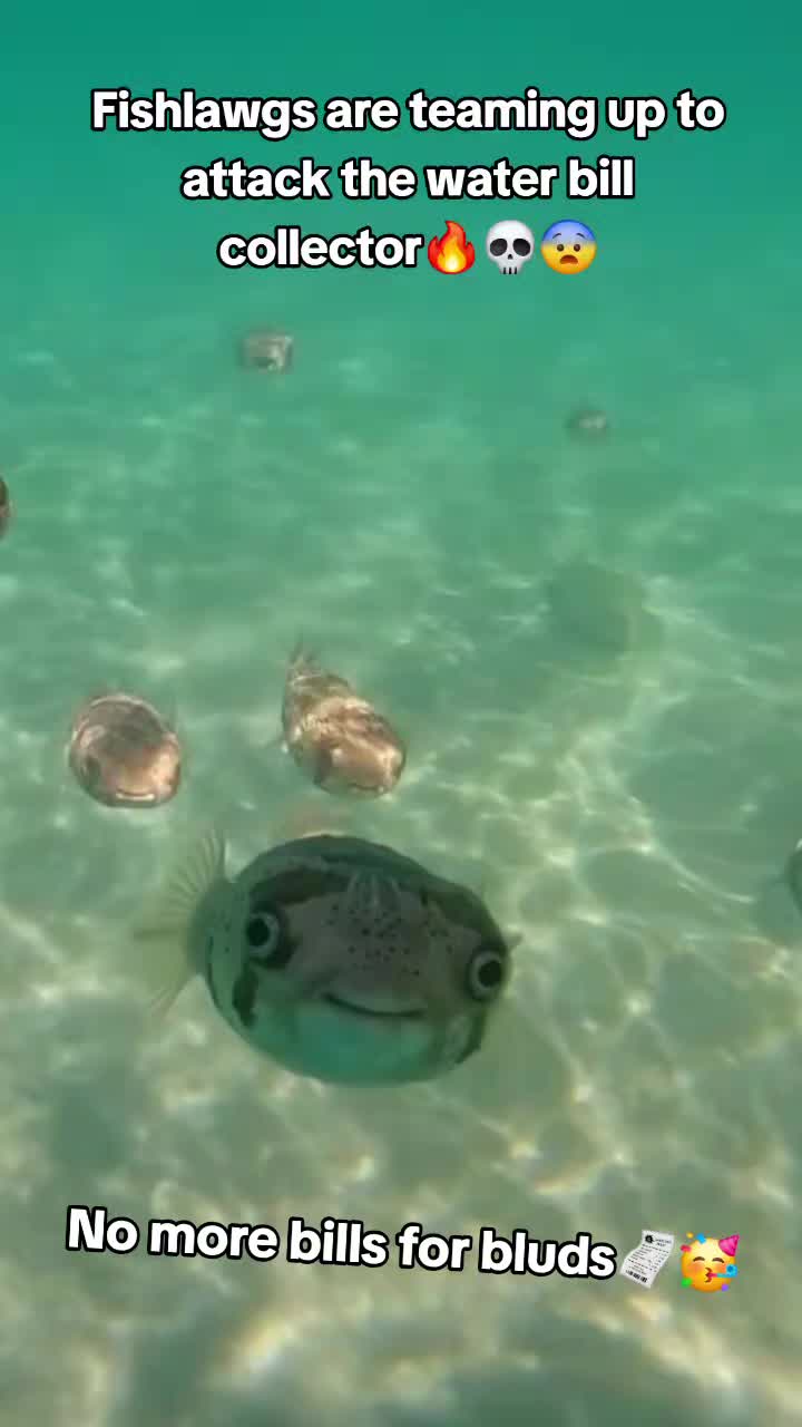 @donpollo2982