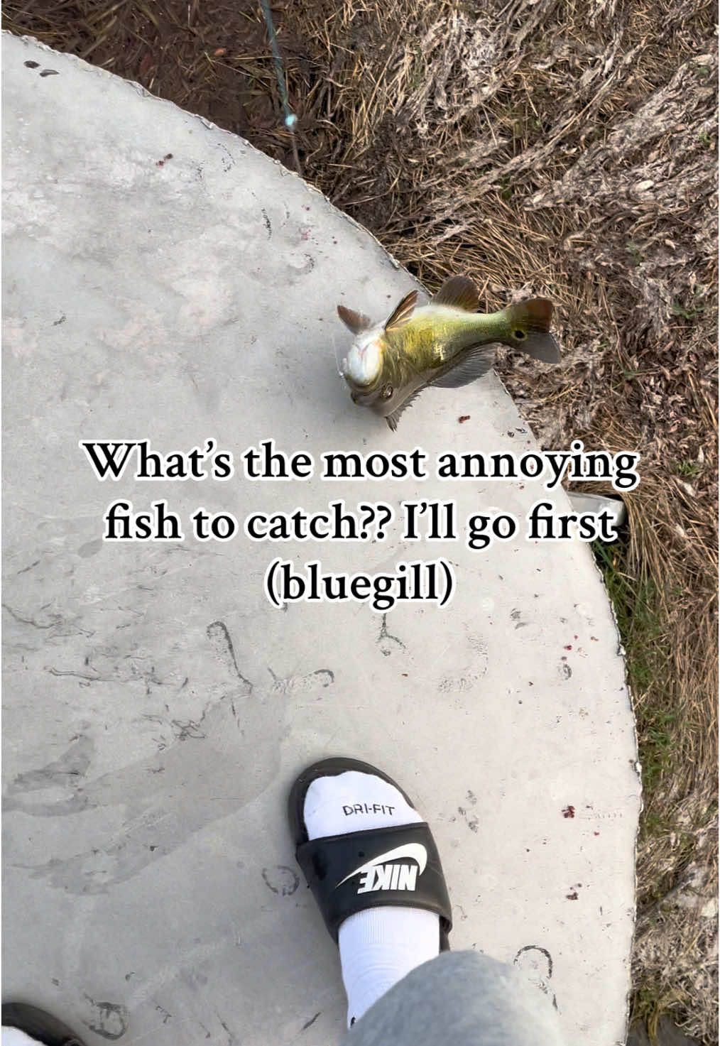@DC.Fishin
