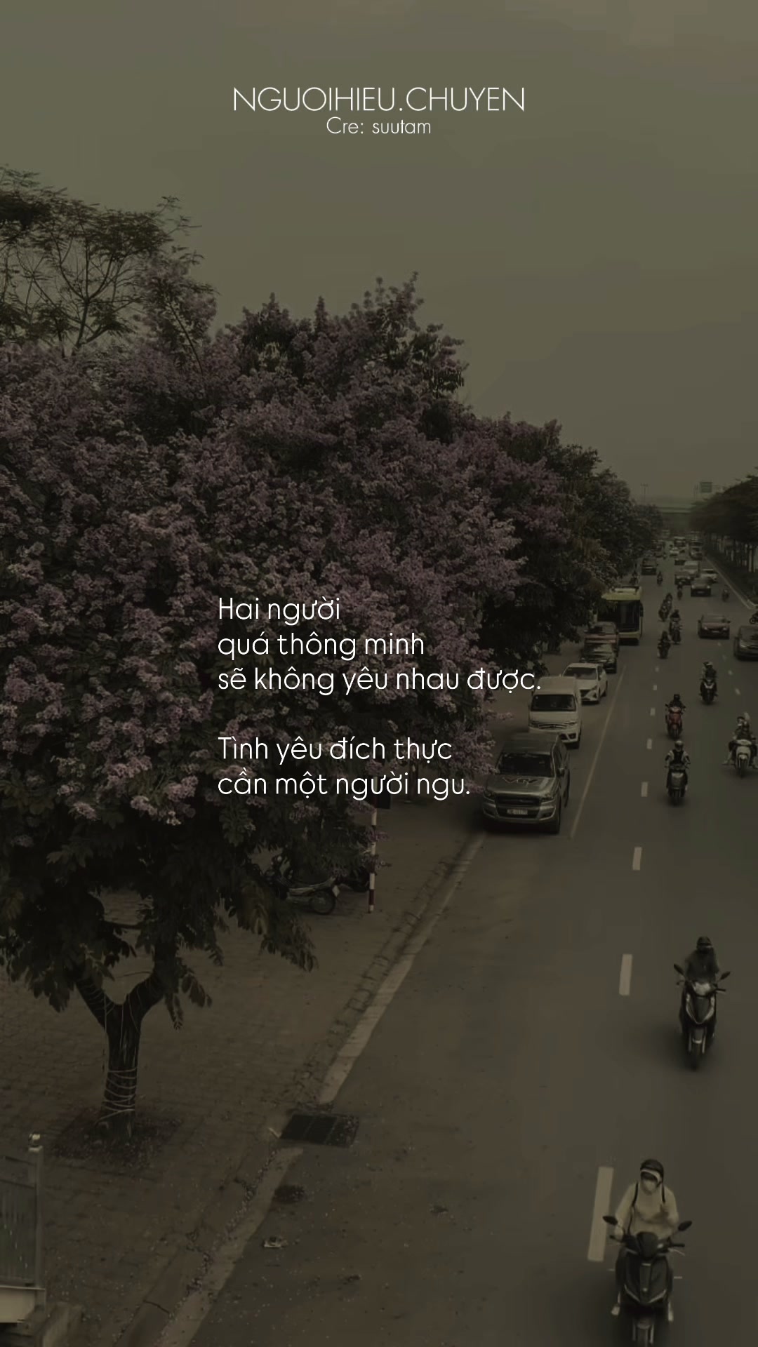 @Người Hiểu Chuyện