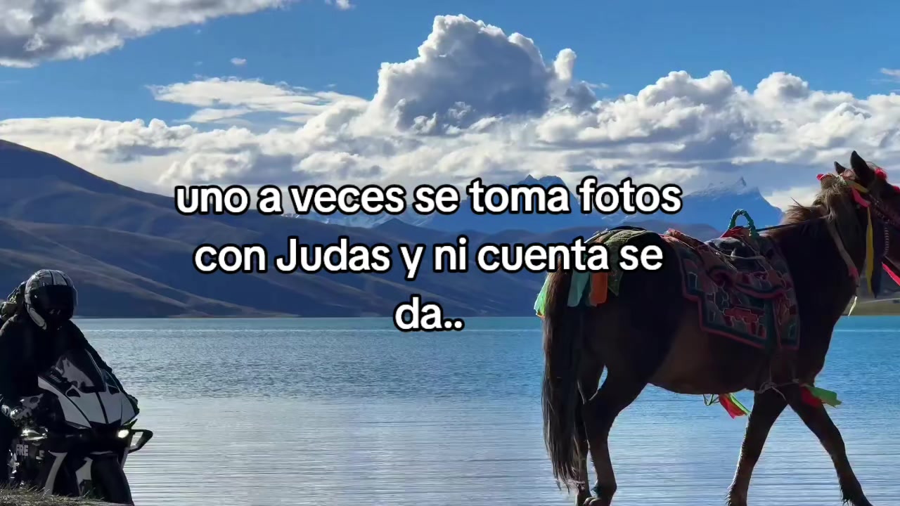 @Vladimirputin2