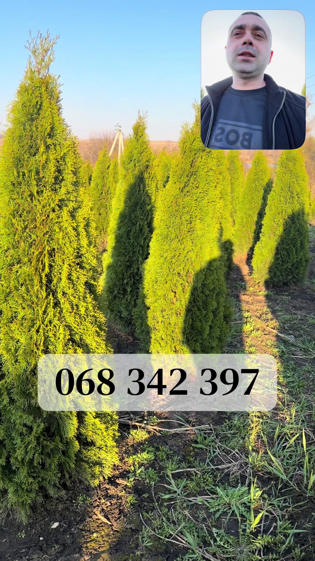 @Agro Terra