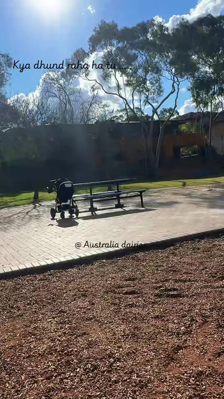 @Australia Dairies 🇦🇺