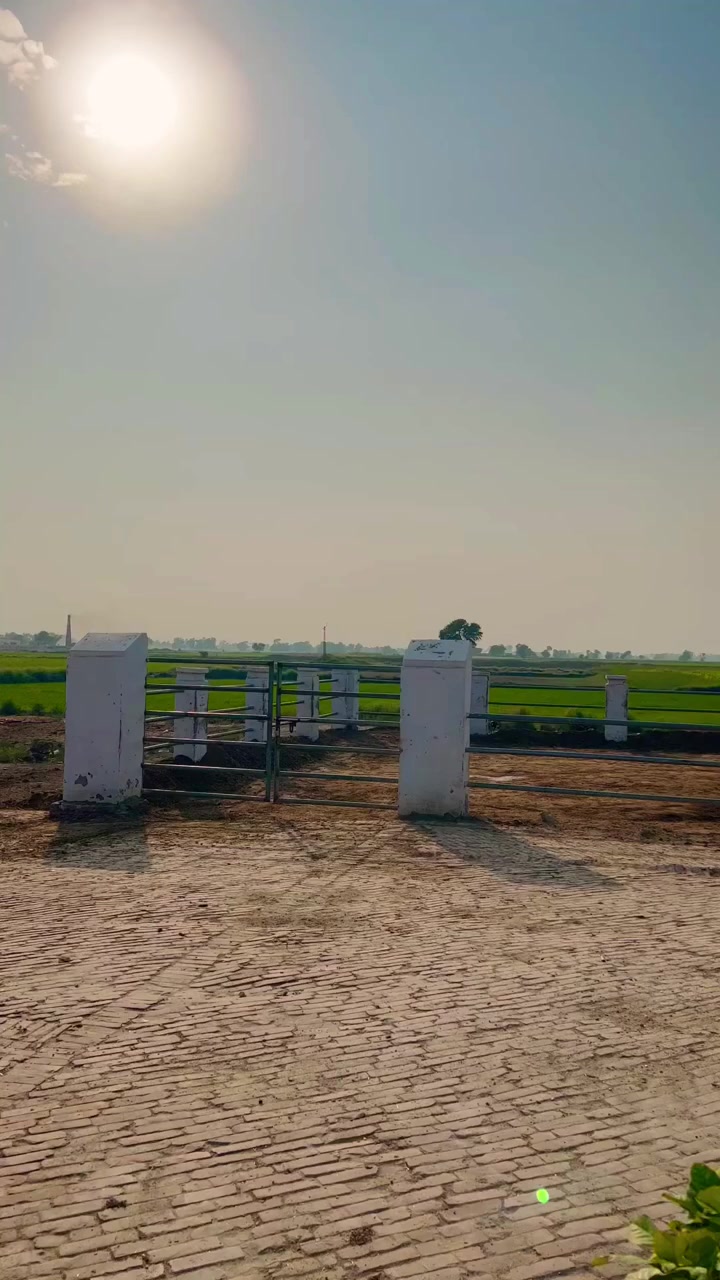 @GUJJAR DAIRY FARM