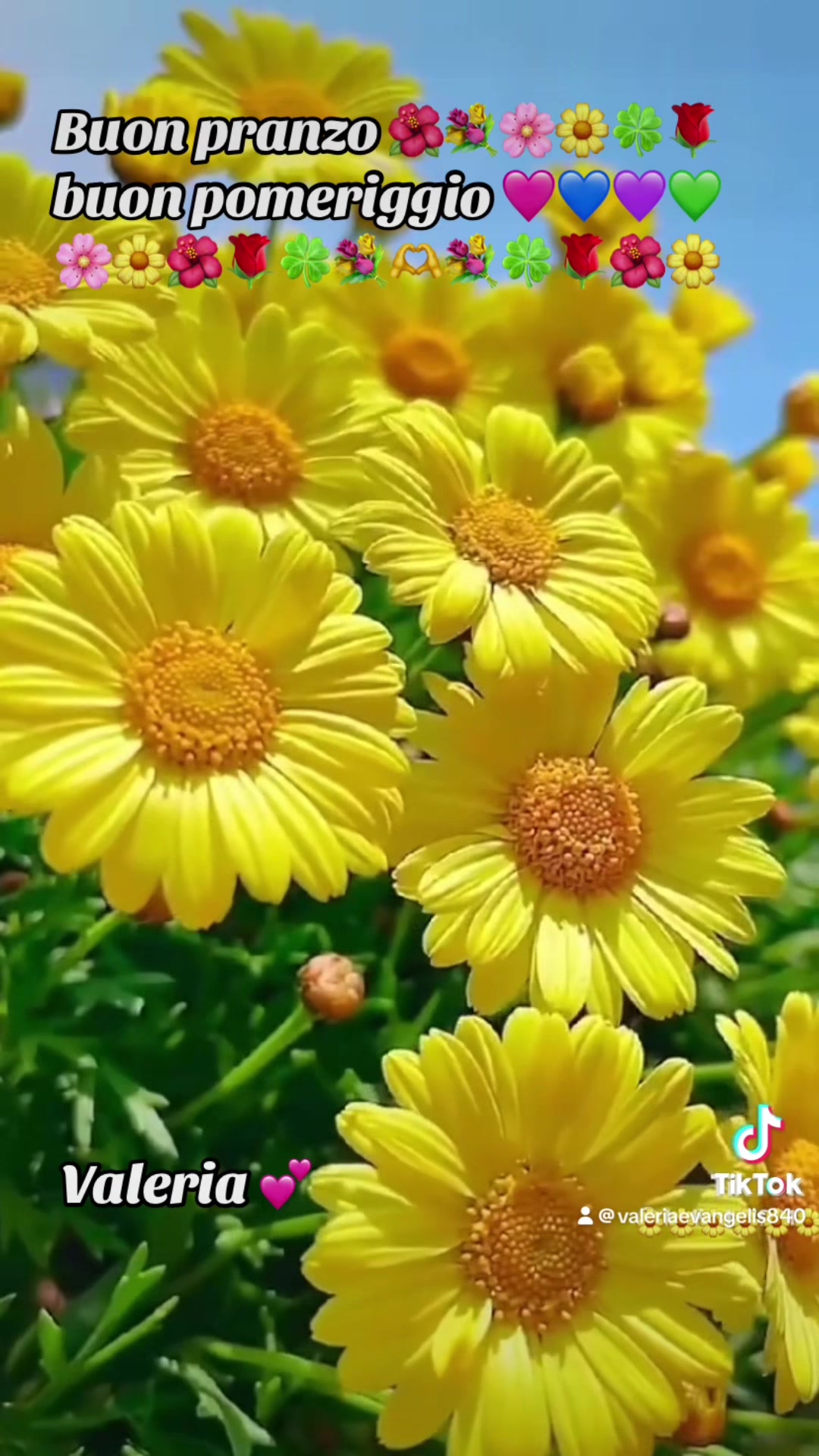 @valeriaevangelis840