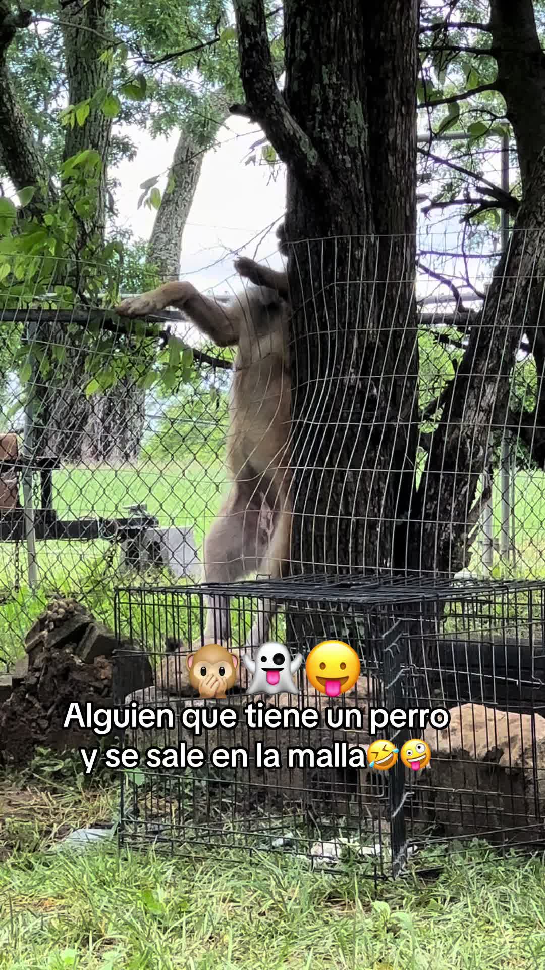 @🥀🥭✝️Marta Raymundo🥀🥷🏿✝️