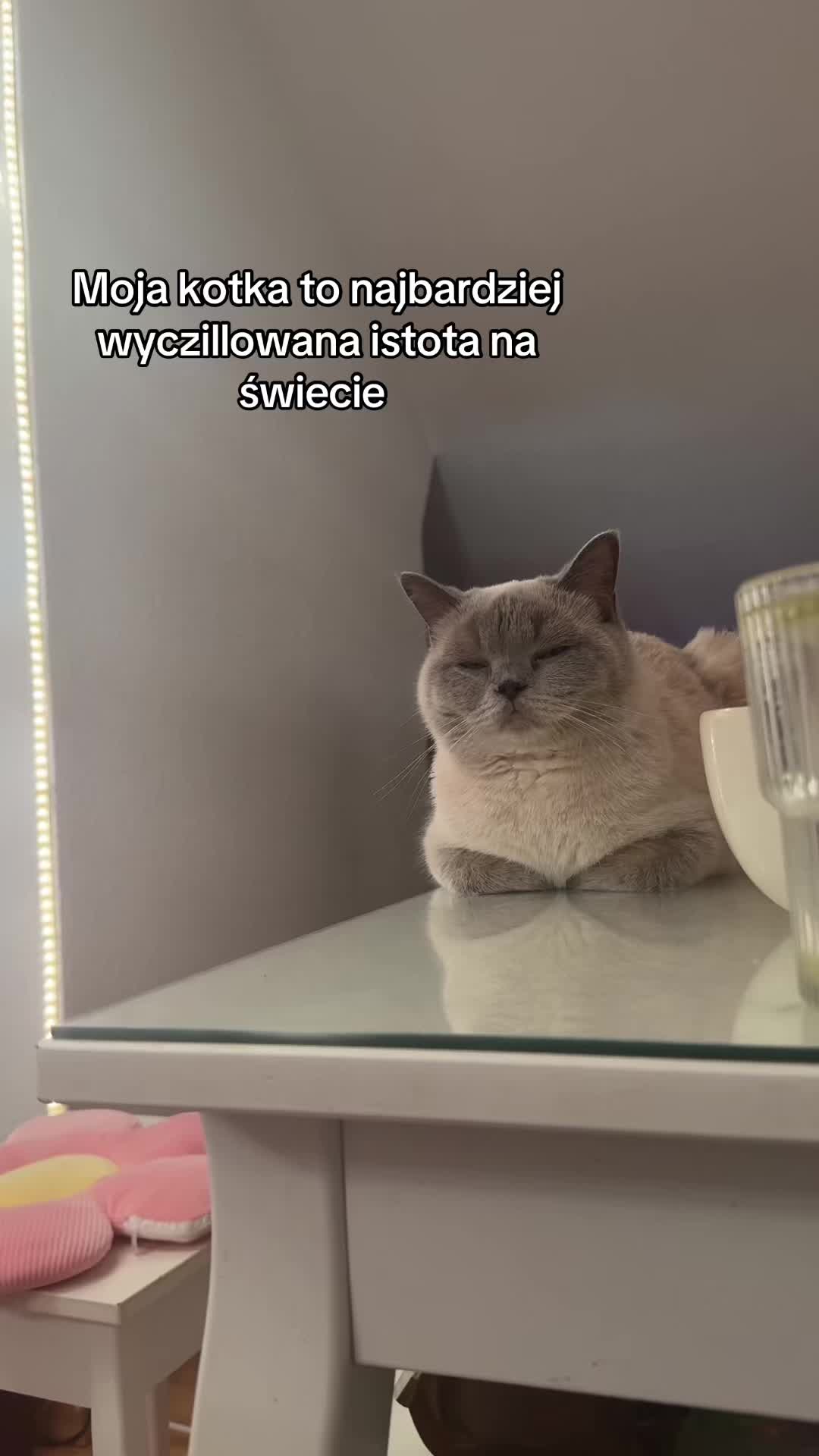 @Vika ɪɢ: ɢᴇɴᴇᴄᴊᴀ