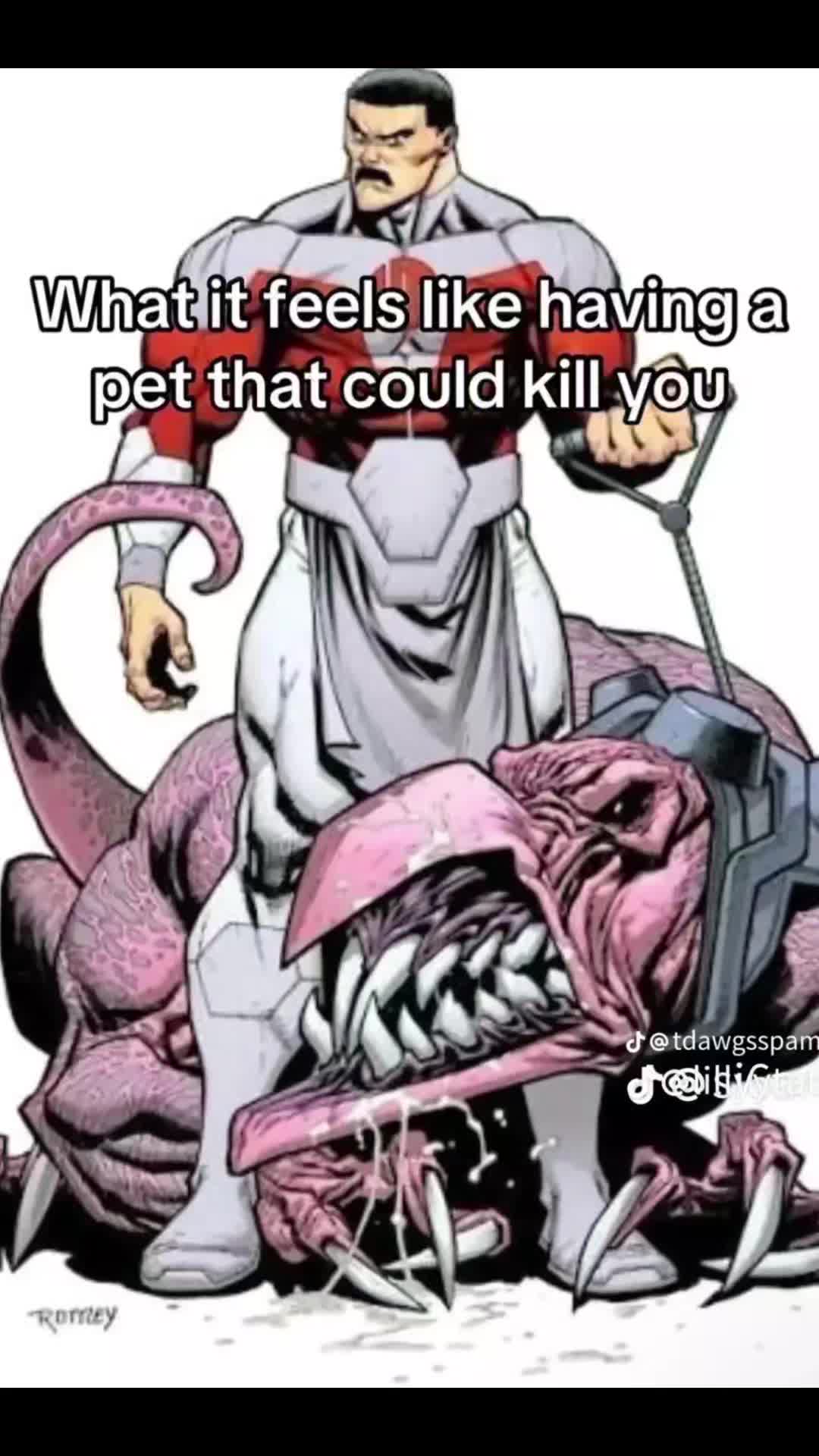 @SerapHIM