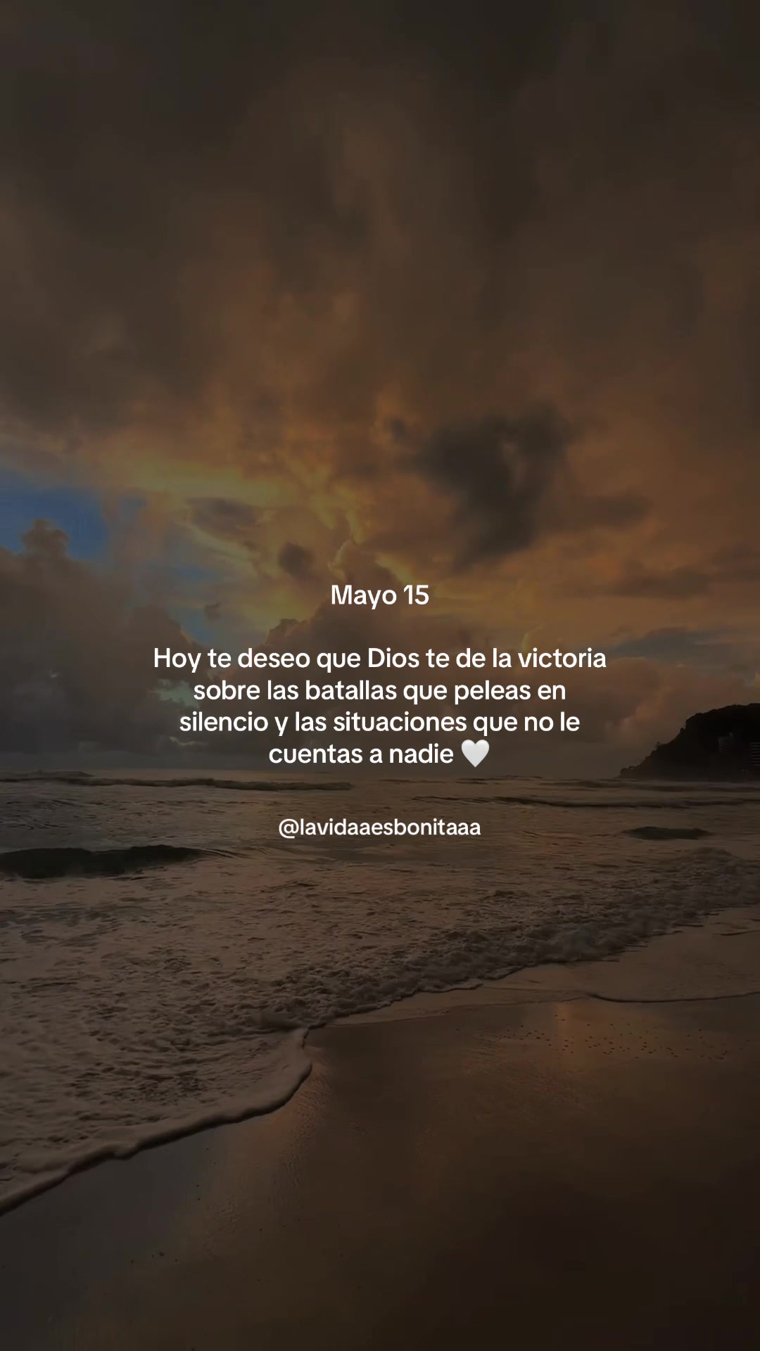 @vidabonita❤️&zwj;🩹