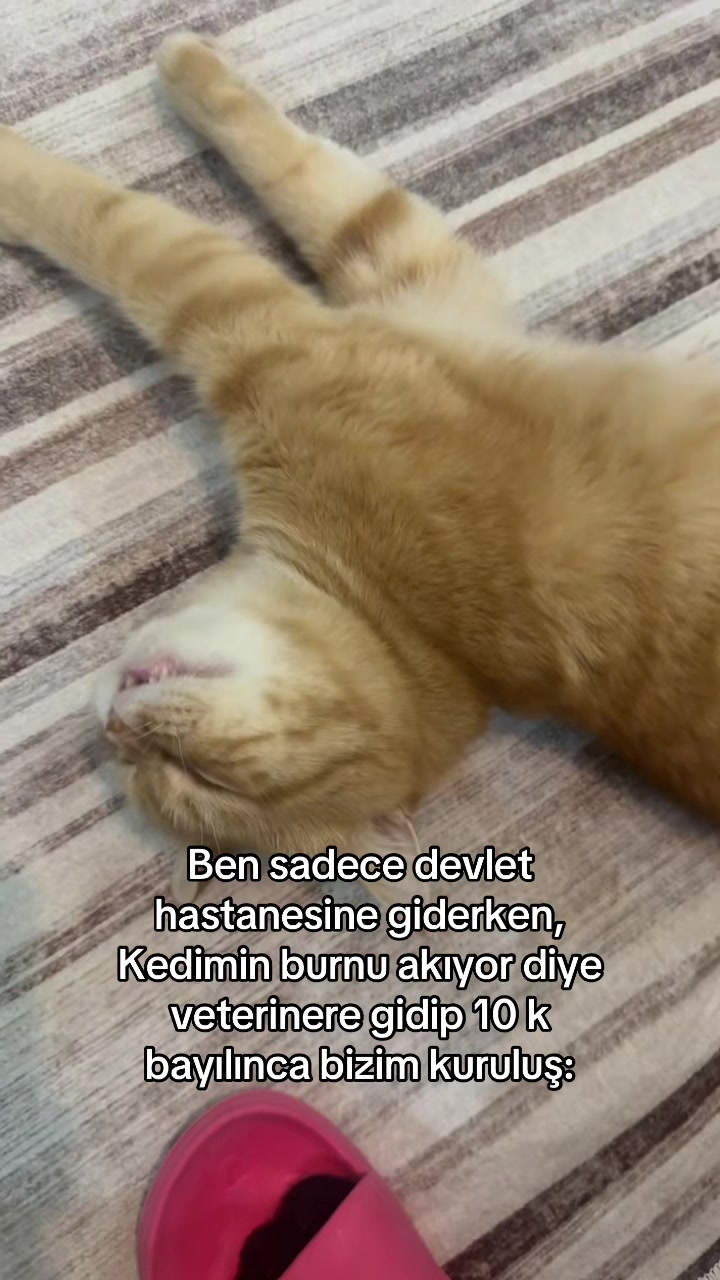@cucuppe