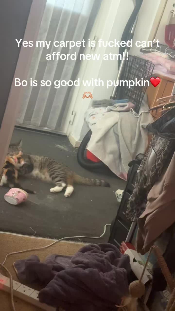 @ðâšRoxanneð«¶ðŒPjQueenâšð
