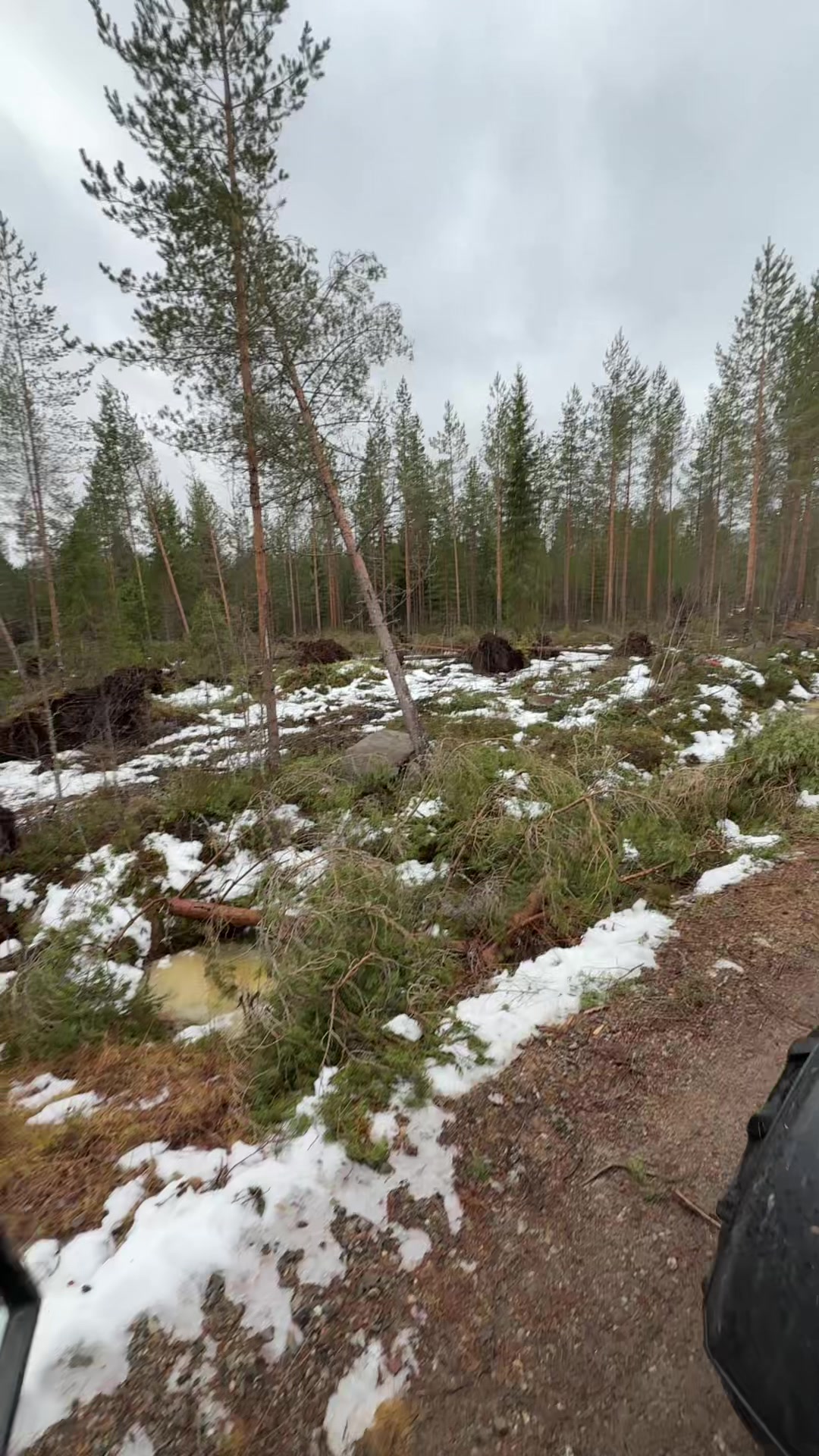 @Ossi Rantala