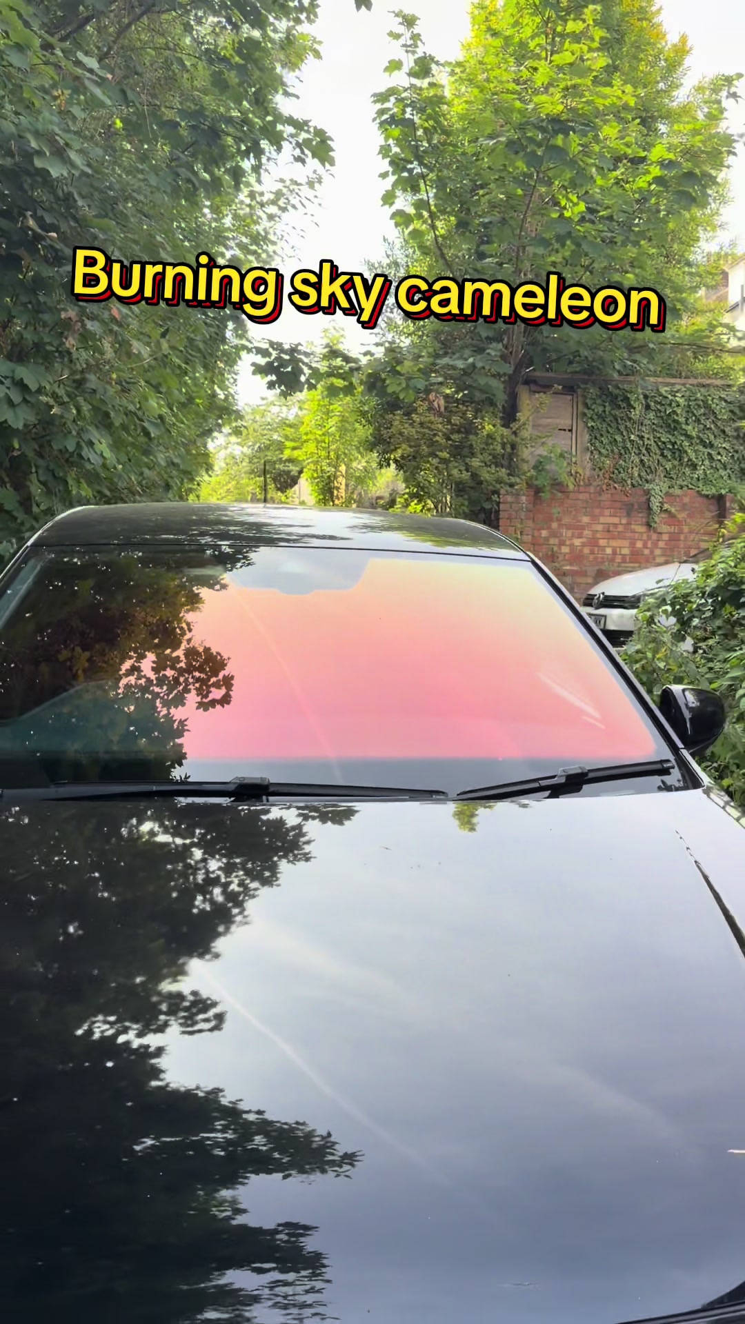 @Wrapdan