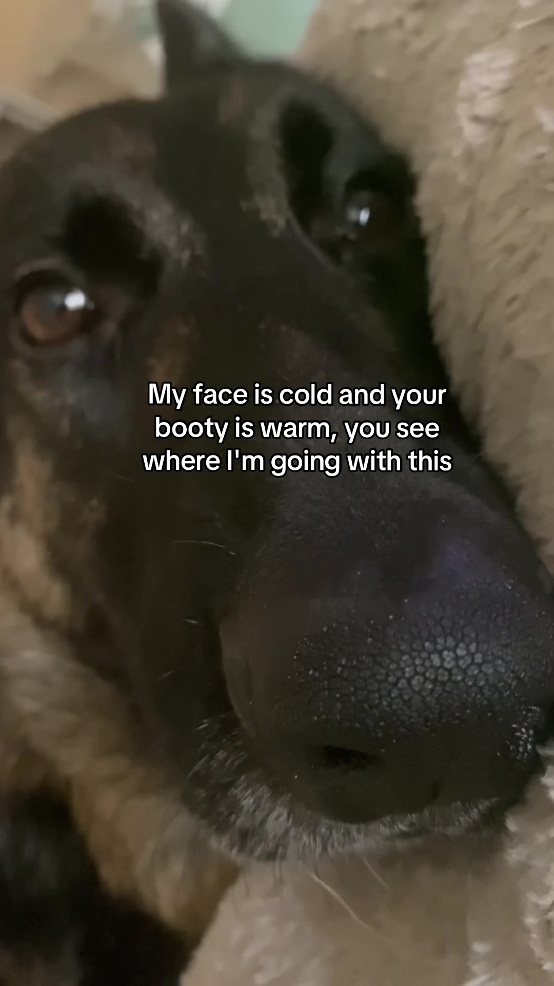 @Bhris