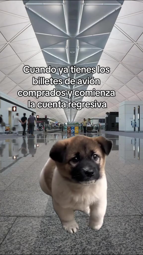 @Jota de Viaje