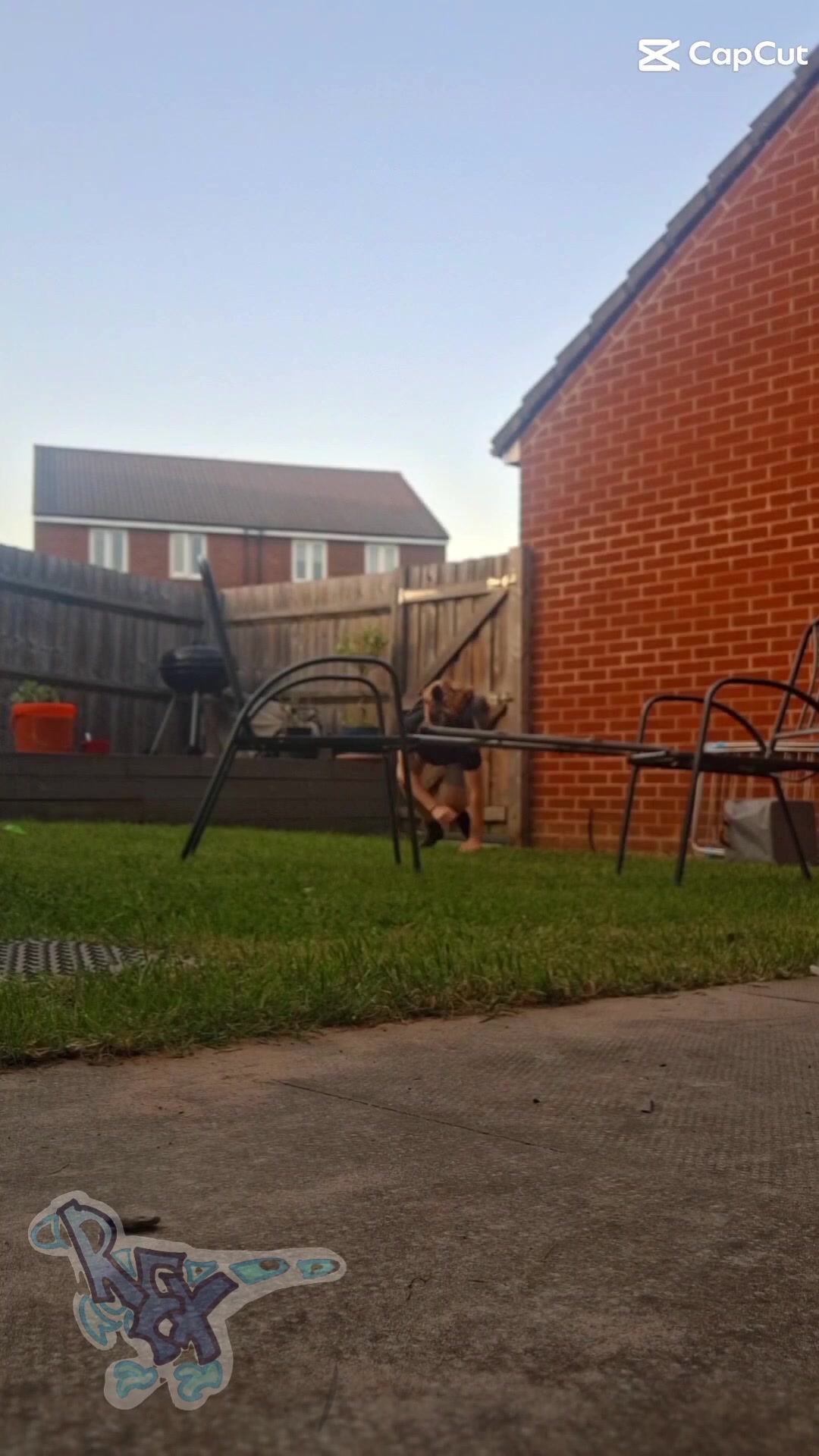@REX🦖