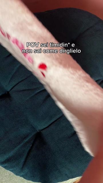 @MySecretCase